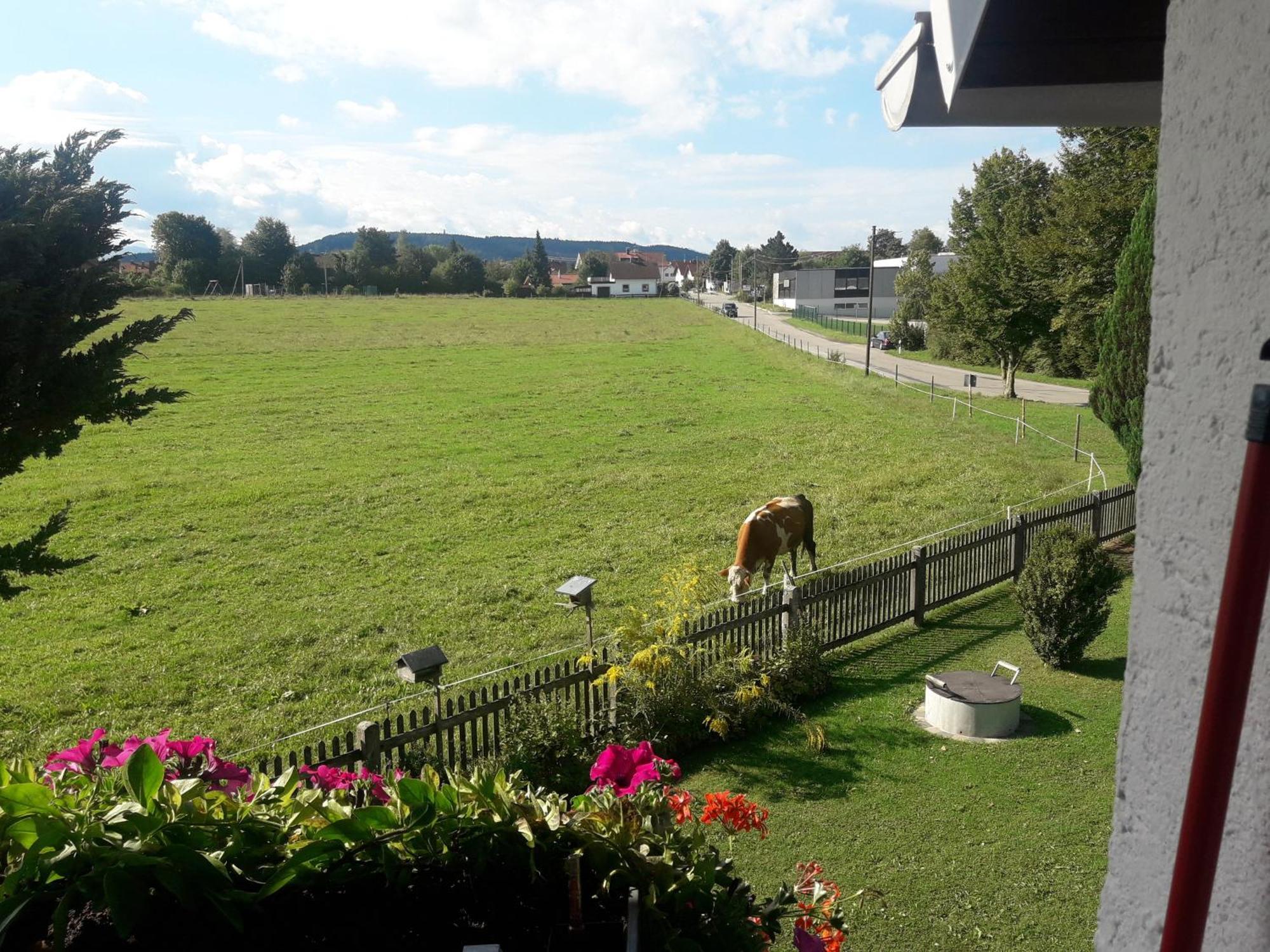 Gaestehaus Reisacher - Mehrbettzimmer Peiting Exterior photo